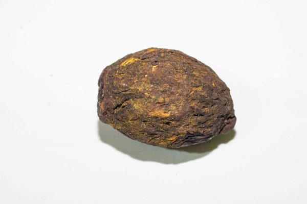 Odiiba Seed – Unlock Spiritual Power & Divine Protection
